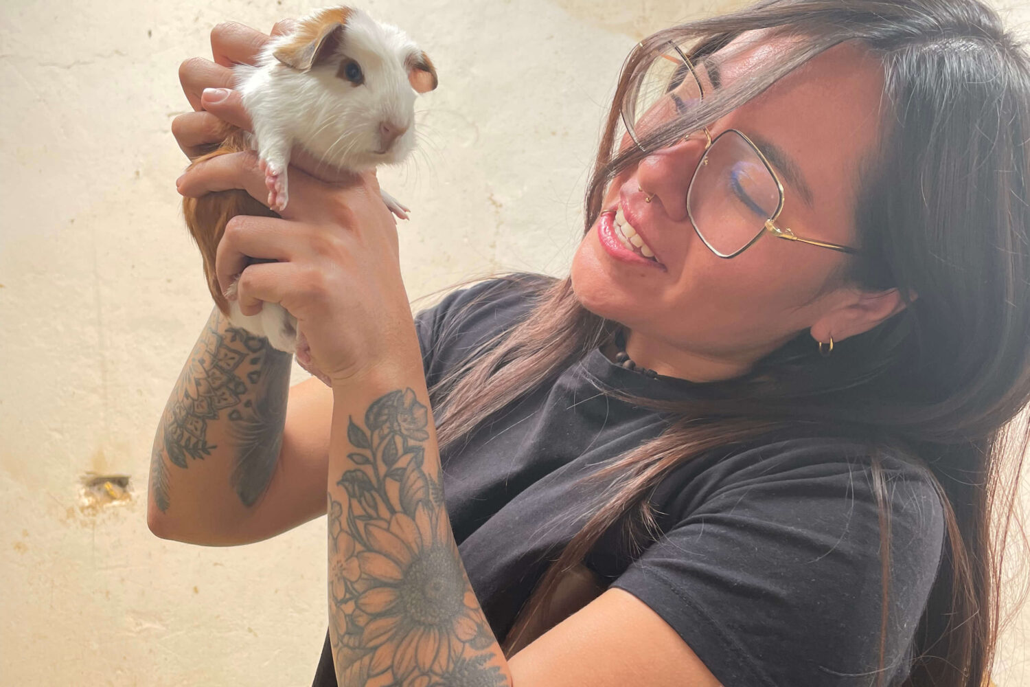 guinea pig raising, cultural tour in peru