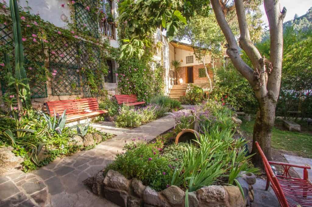 arqueologo inside patio with plants